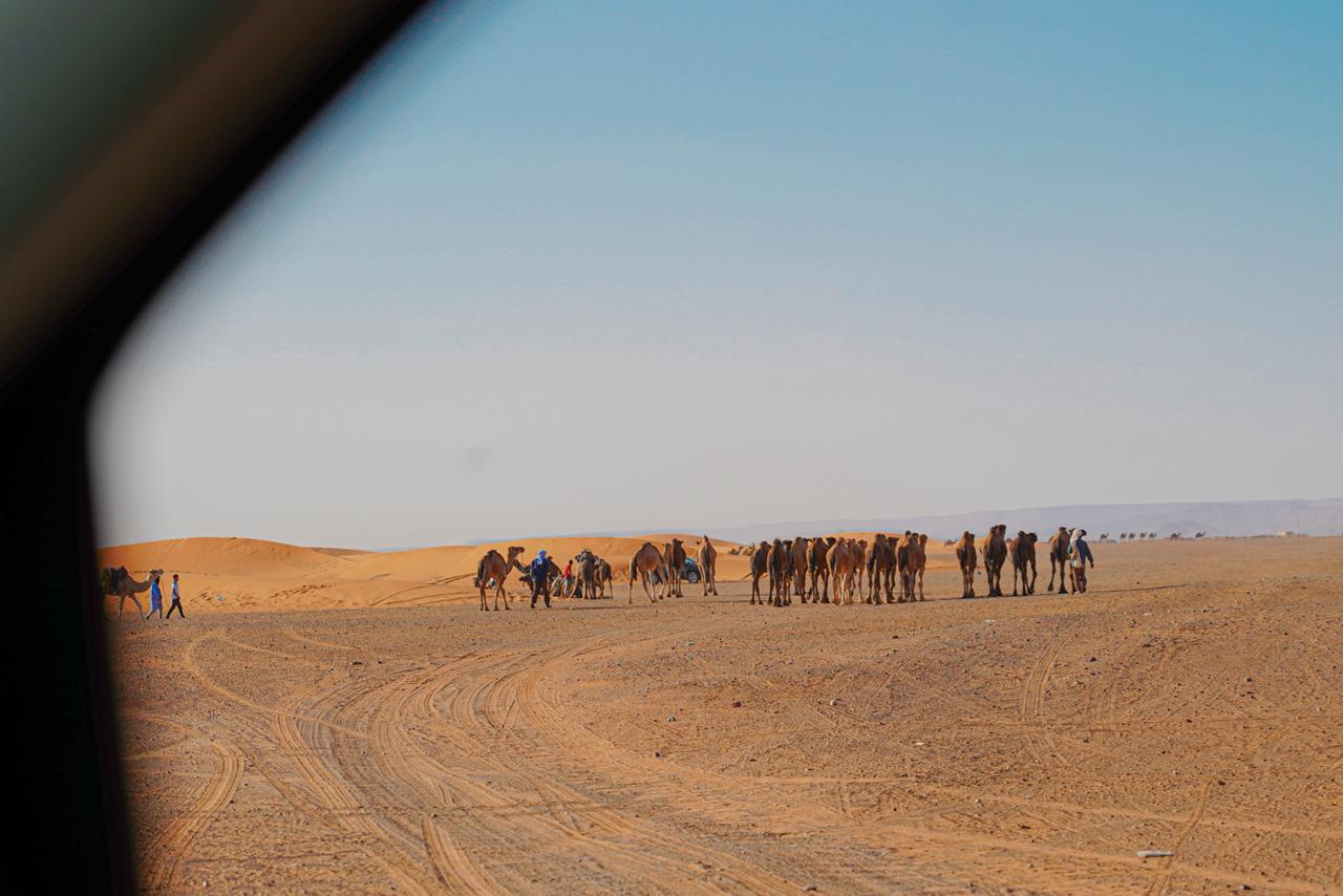 8 Days Private Tour - Marrakech to Agadir